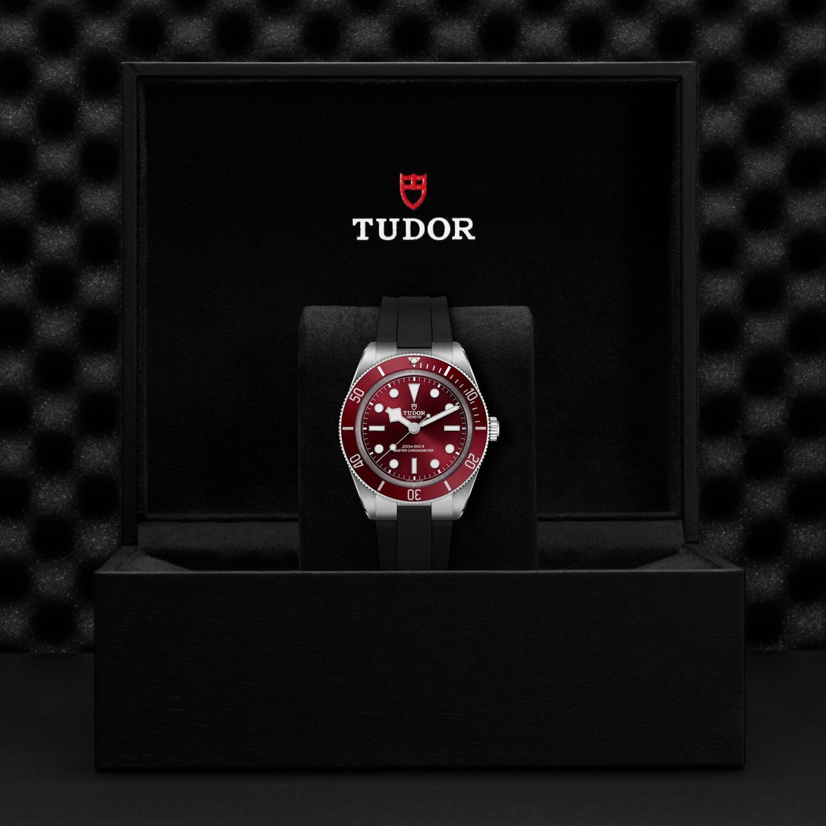 Tudor Black Bay 58 — photo 5 of 5