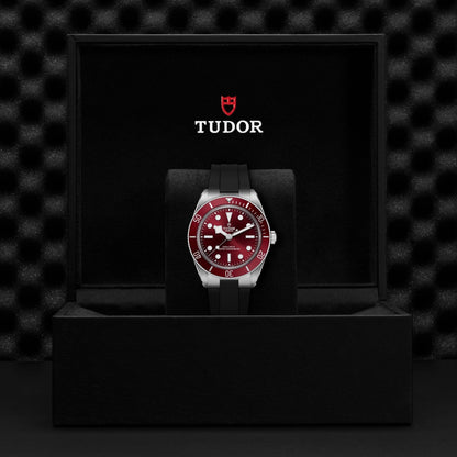 Tudor Black Bay 58 — photo 5 of 5