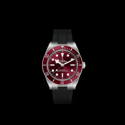 Tudor Black Bay 58 — photo 3 of 5