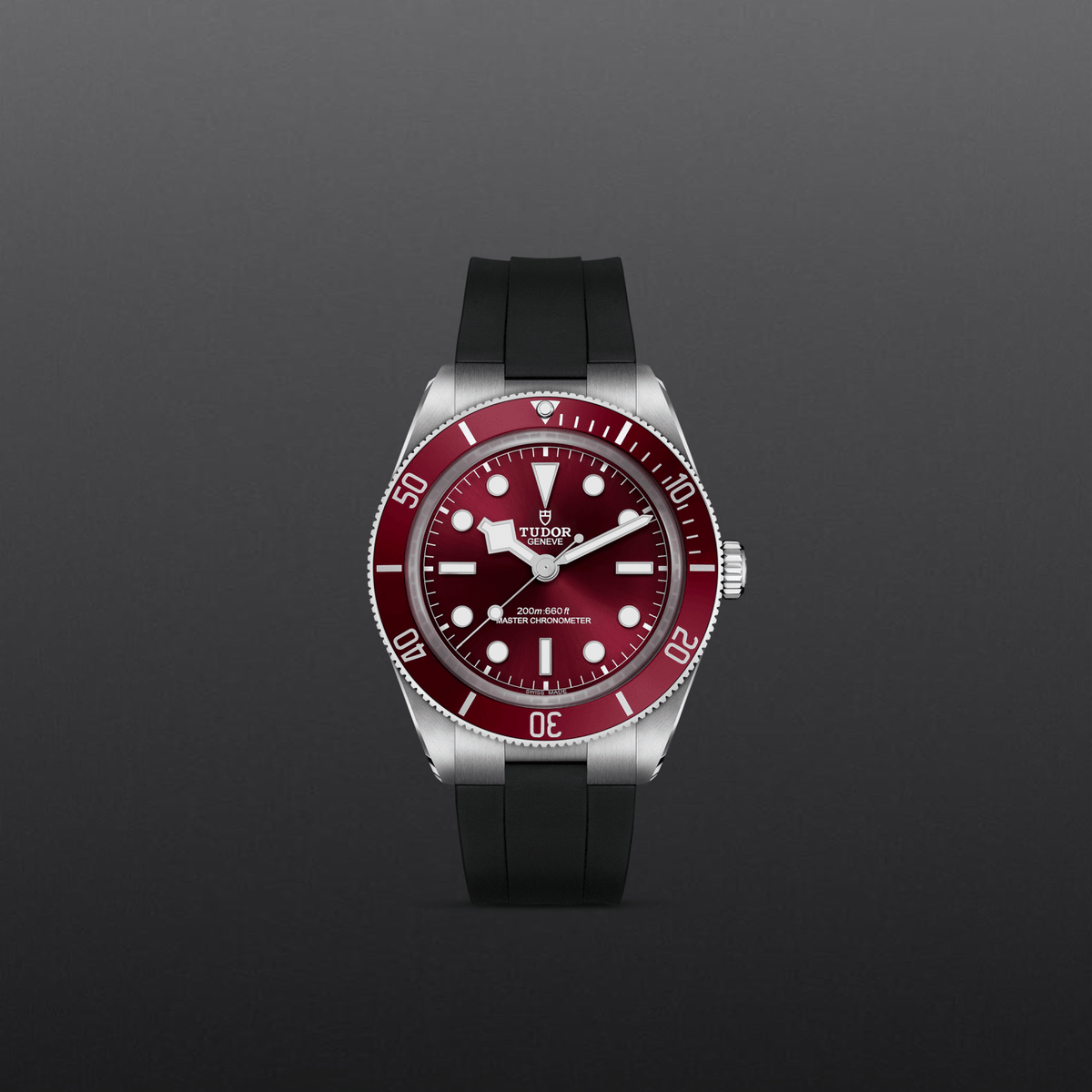 Tudor Black Bay 58 — photo 2 of 5