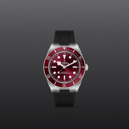 Tudor Black Bay 58 — photo 2 of 5