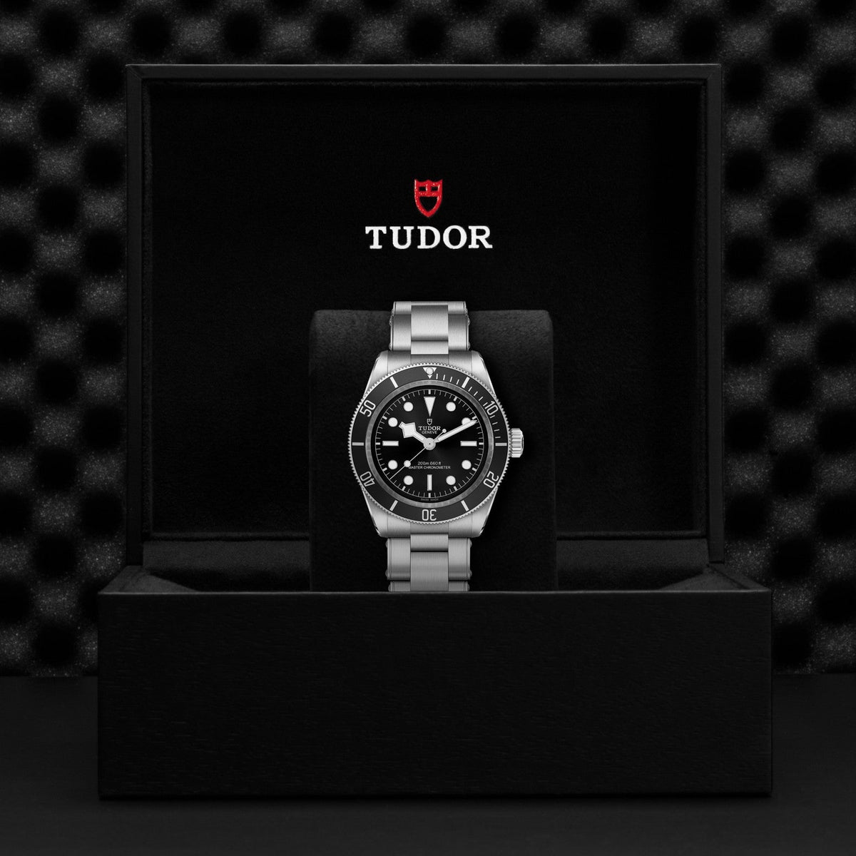 Tudor Black Bay — photo 5 of 5
