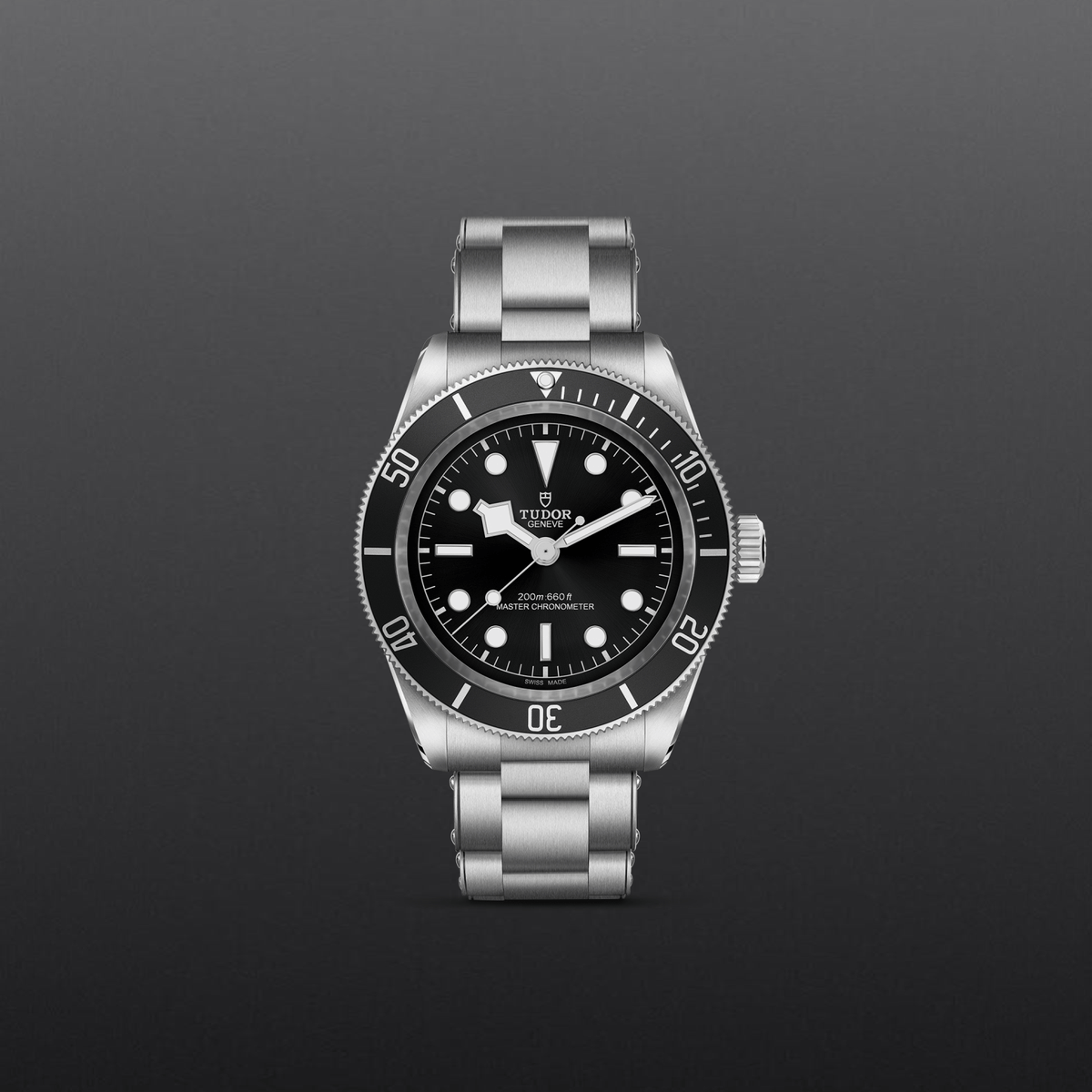 Tudor Black Bay — photo 2 of 5