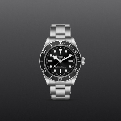 Tudor Black Bay — photo 2 of 5