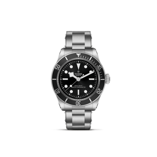 Tudor Black Bay — photo 1 of 5