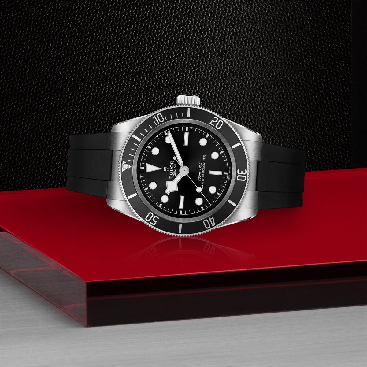 Tudor Black Bay — photo 4 of 5