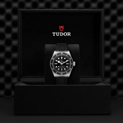 Tudor Black Bay — photo 5 of 5