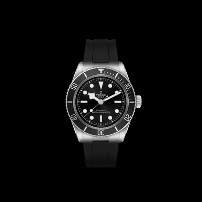 Tudor Black Bay — photo 3 of 5