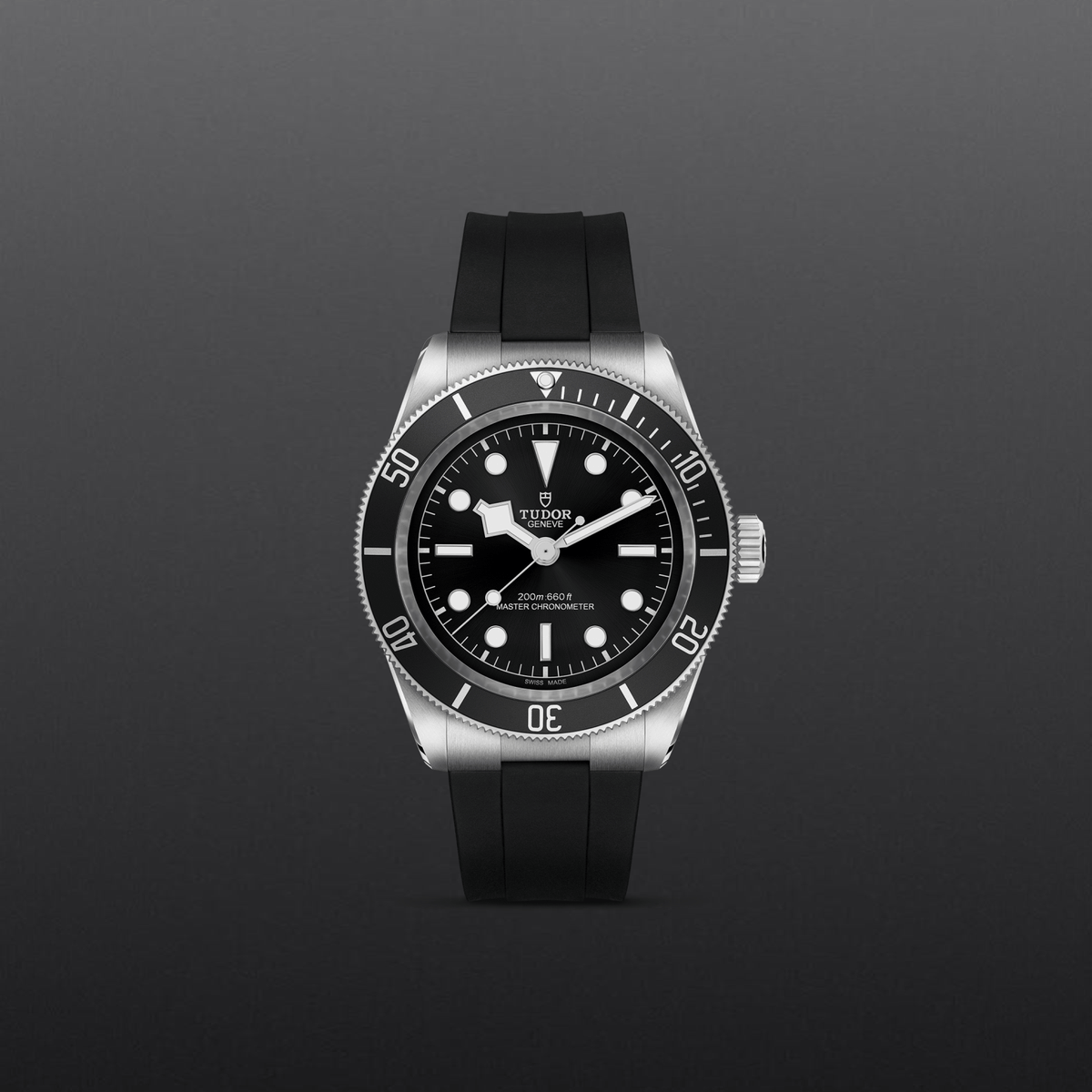 Tudor Black Bay — photo 2 of 5