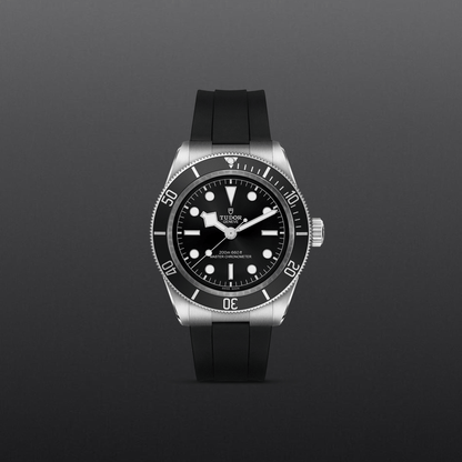 Tudor Black Bay — photo 2 of 5