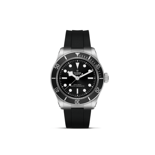 Tudor Black Bay — photo 1 of 5