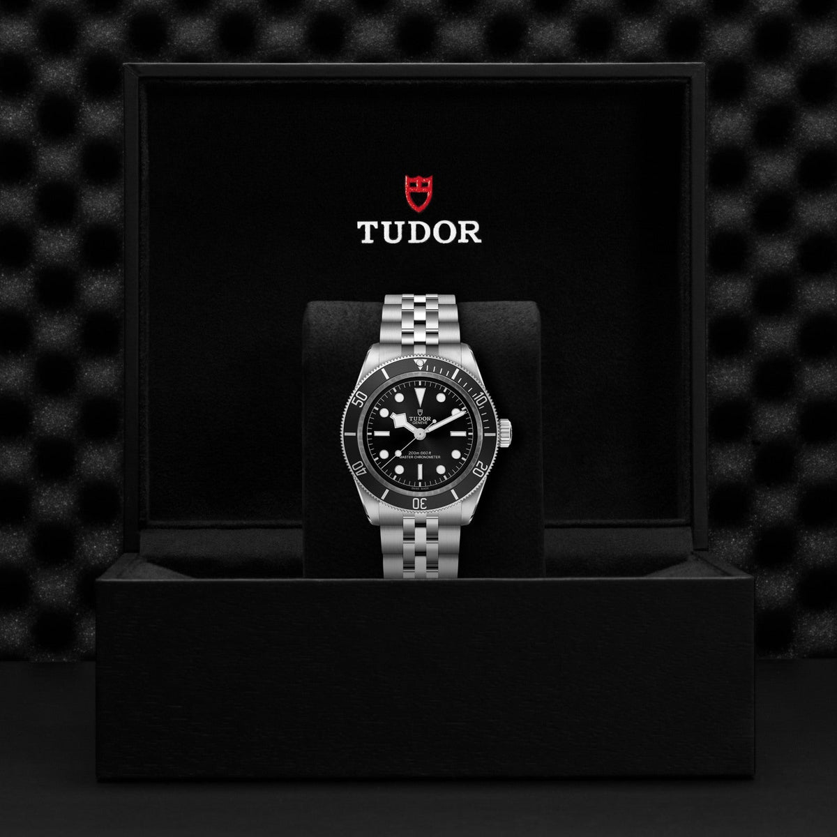 Tudor Black Bay — photo 5 of 5