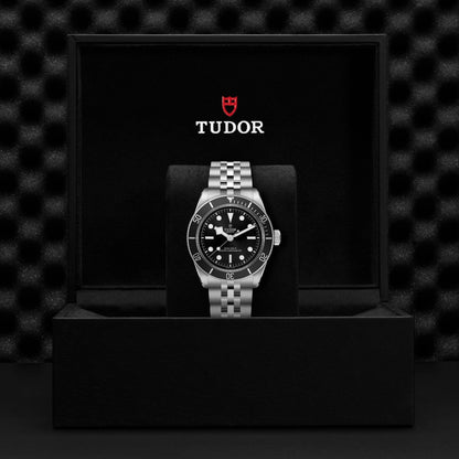 Tudor Black Bay — photo 5 of 5