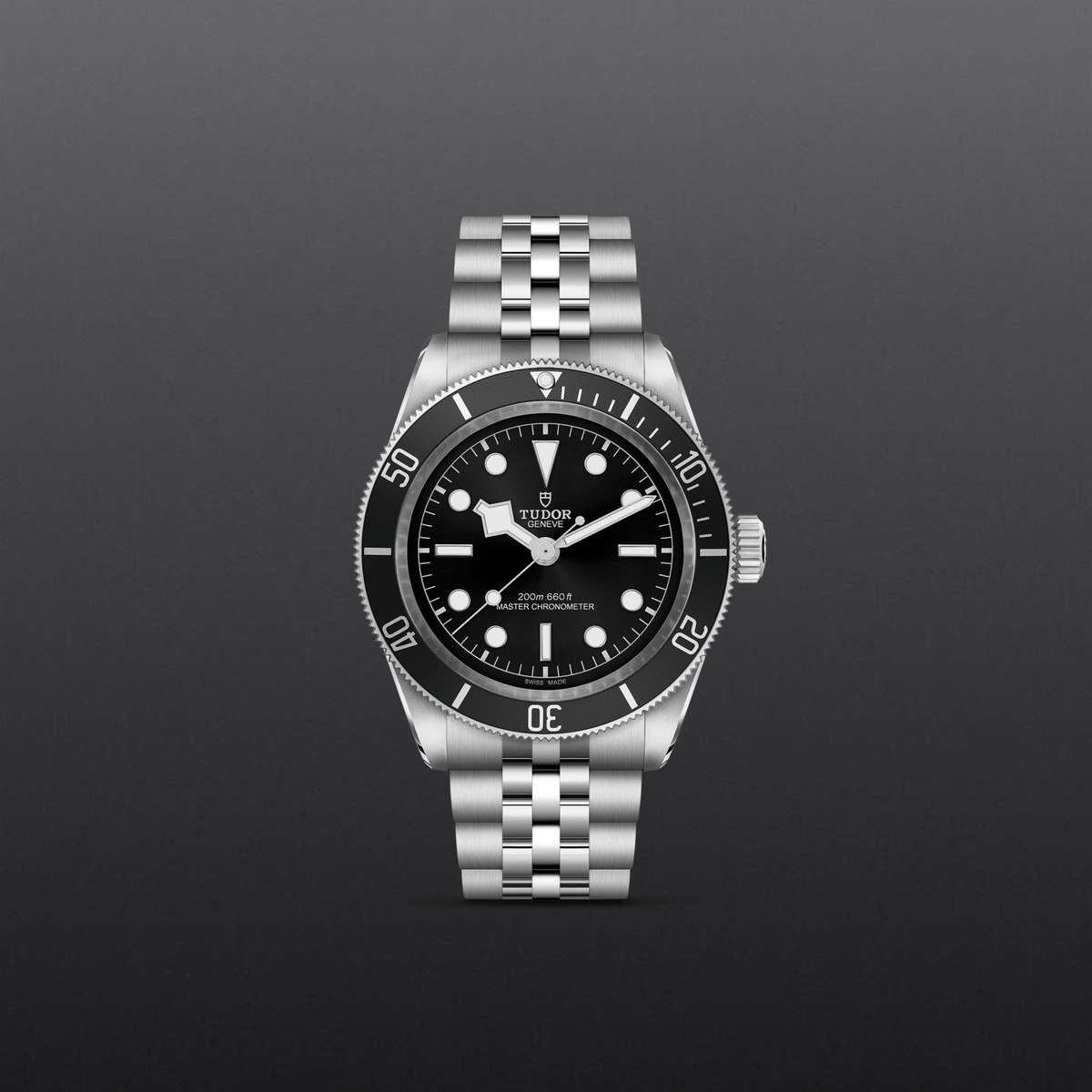 Tudor Black Bay — photo 2 of 5