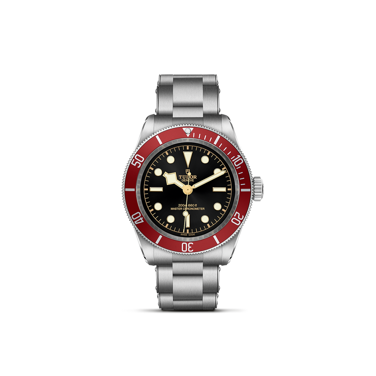 Tudor Black Bay — photo 1 of 5