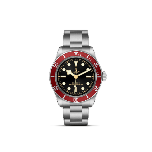 Tudor Black Bay — photo 1 of 5