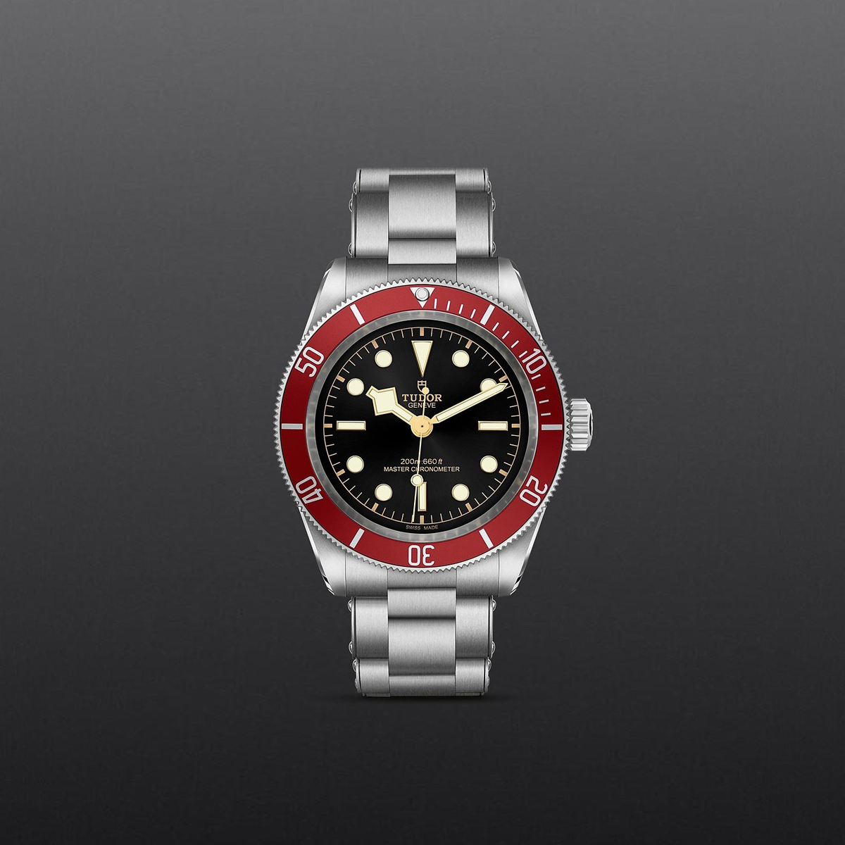 Tudor Black Bay — photo 2 of 5