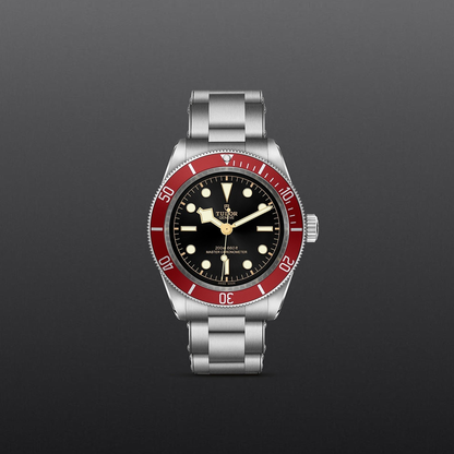 Tudor Black Bay — photo 2 of 5