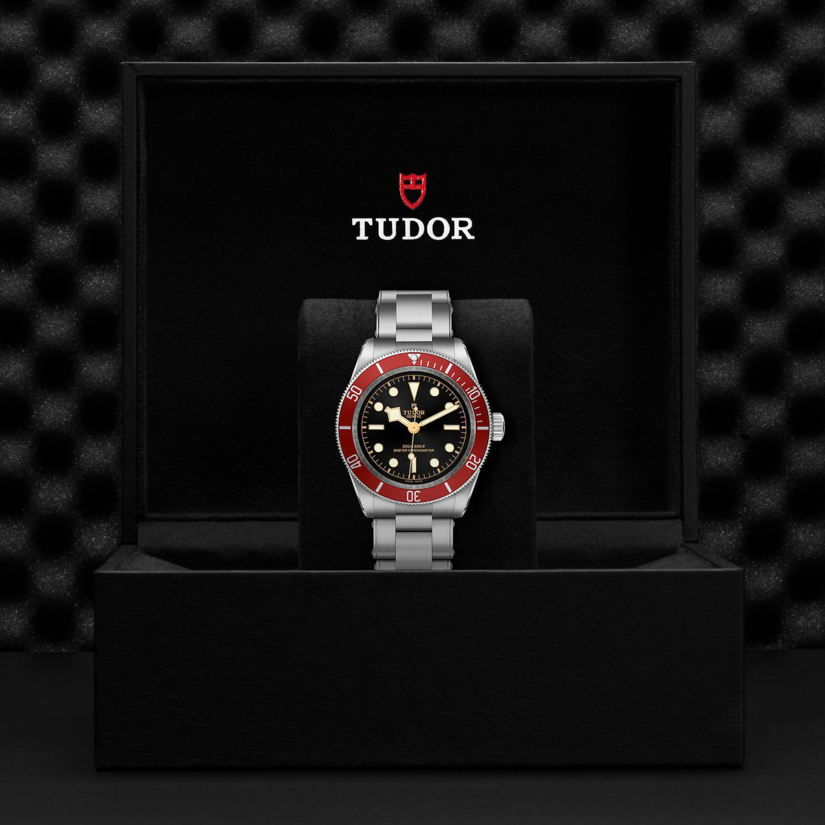 Tudor Black Bay — photo 5 of 5