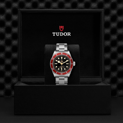 Tudor Black Bay — photo 5 of 5