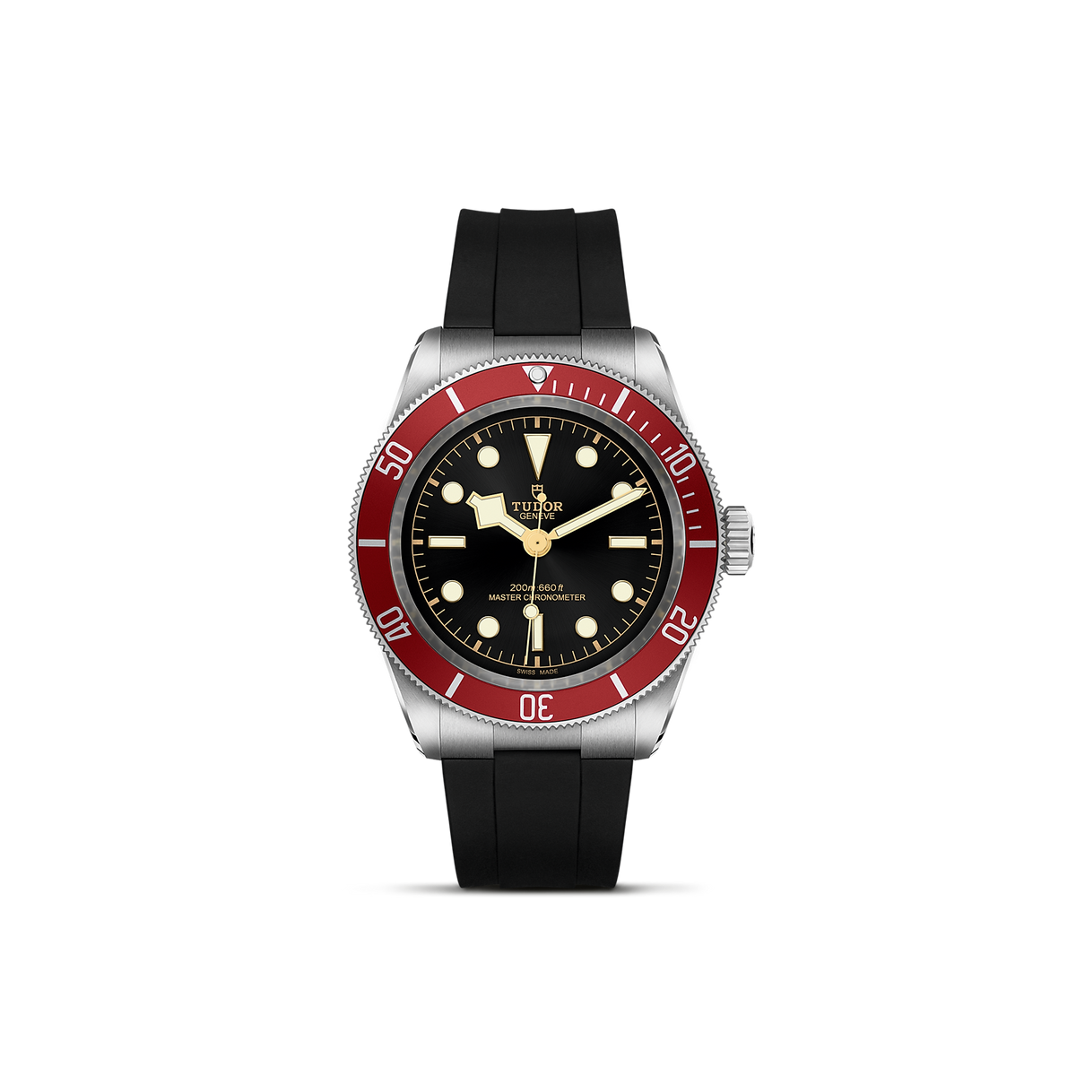 Tudor Black Bay — photo 1 of 5