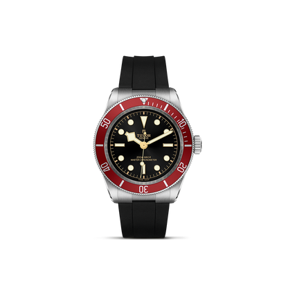 Tudor Black Bay — photo 1 of 5