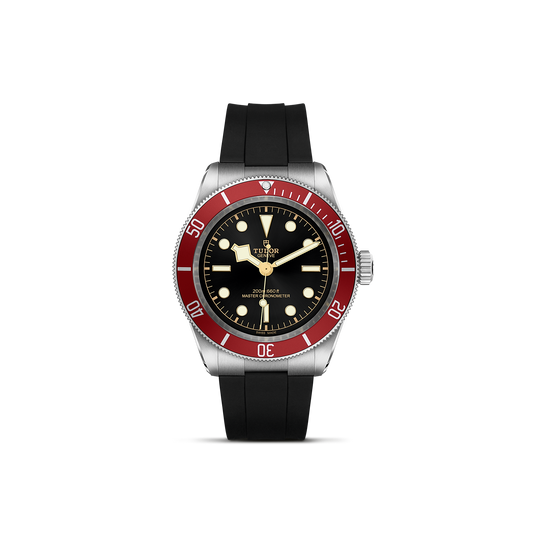 Tudor Black Bay — photo 1 of 5