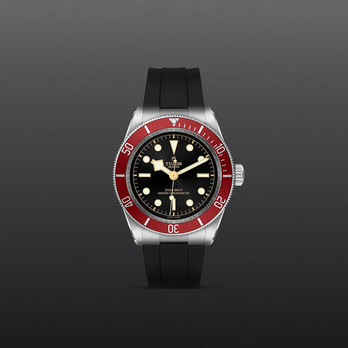 Tudor Black Bay — photo 2 of 5