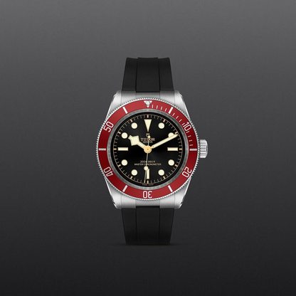 Tudor Black Bay — photo 2 of 5