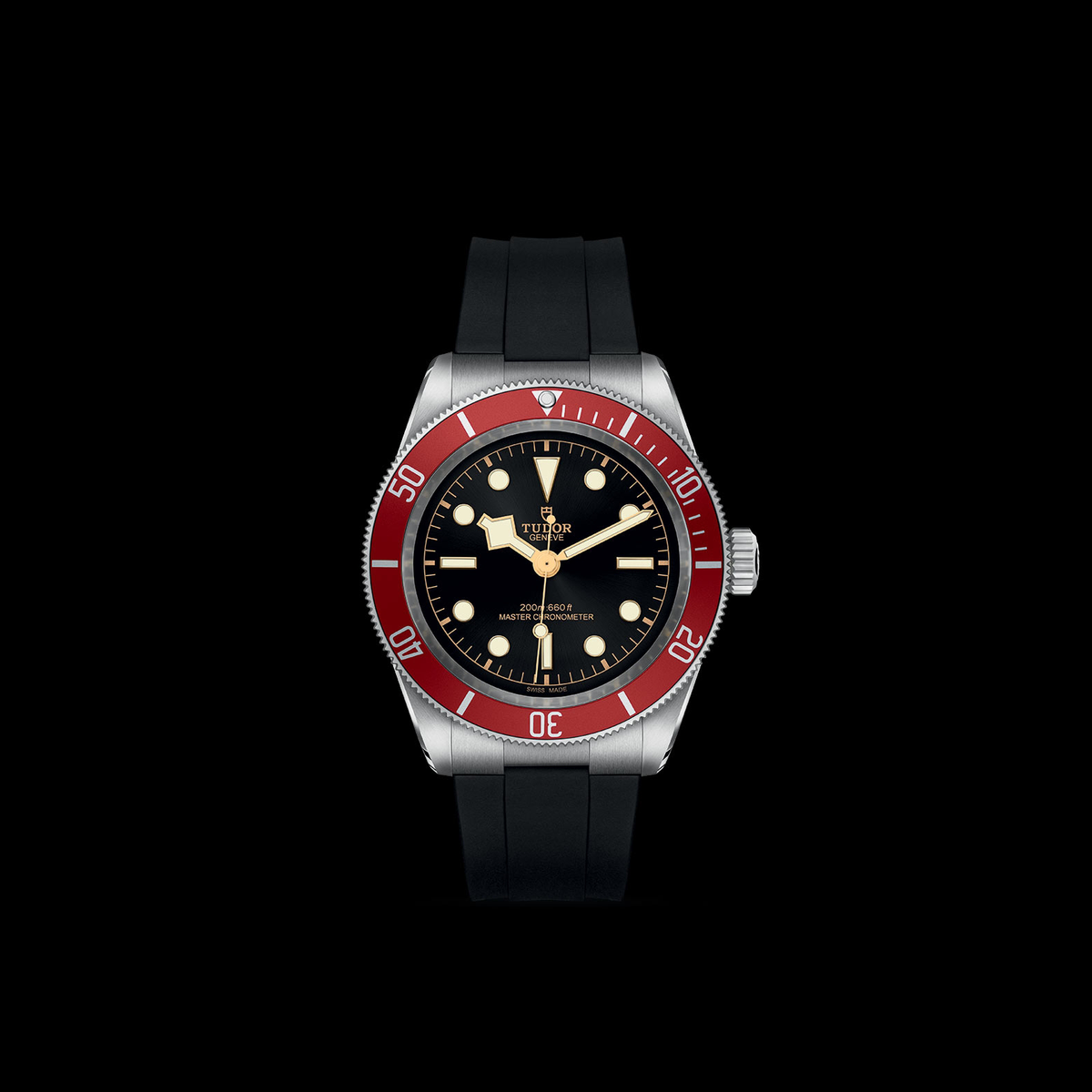 Tudor Black Bay — photo 3 of 5