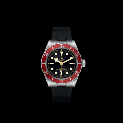 Tudor Black Bay — photo 3 of 5