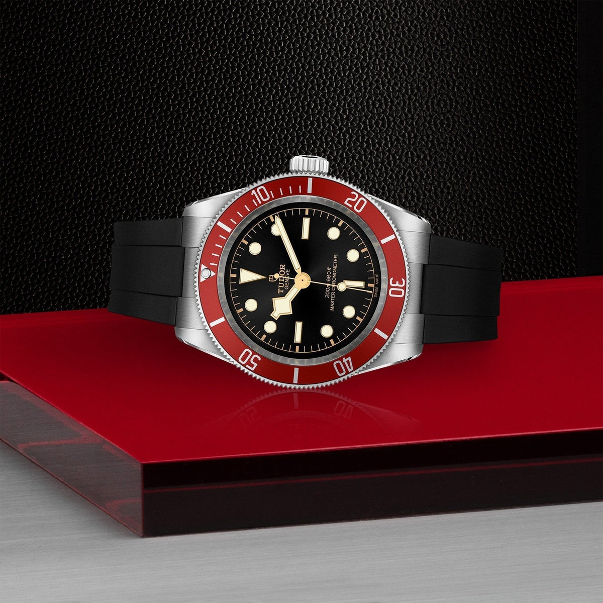 Tudor Black Bay — photo 4 of 5