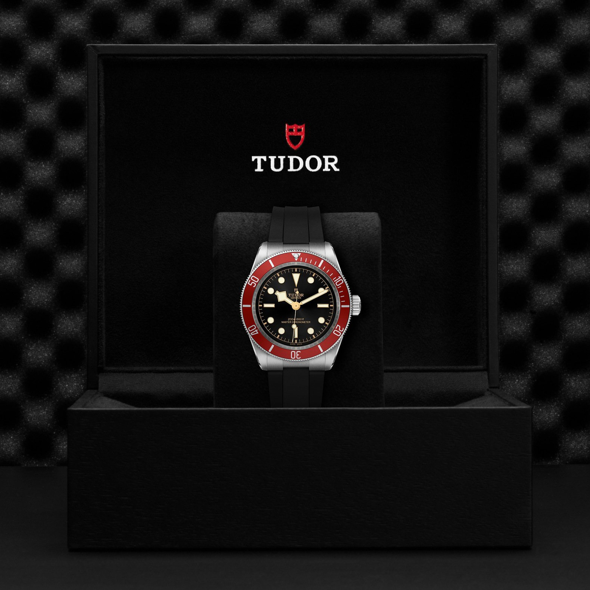 Tudor Black Bay — photo 5 of 5