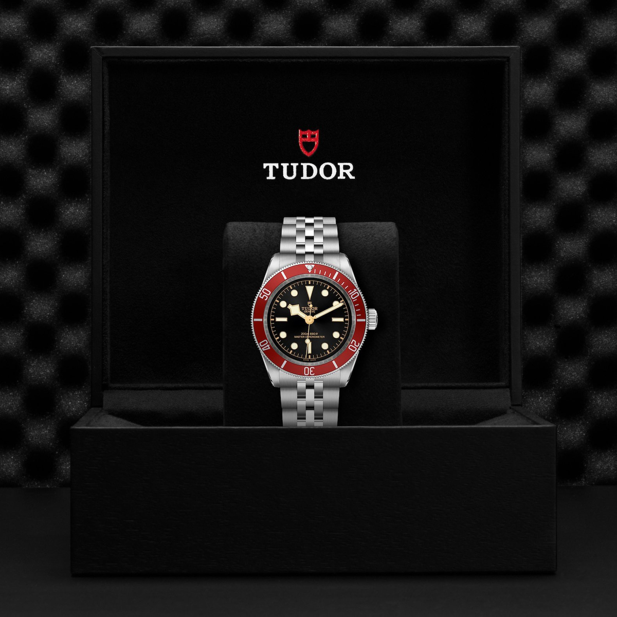 Tudor Black Bay — photo 5 of 5
