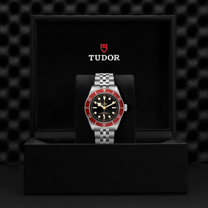 Tudor Black Bay — photo 5 of 5