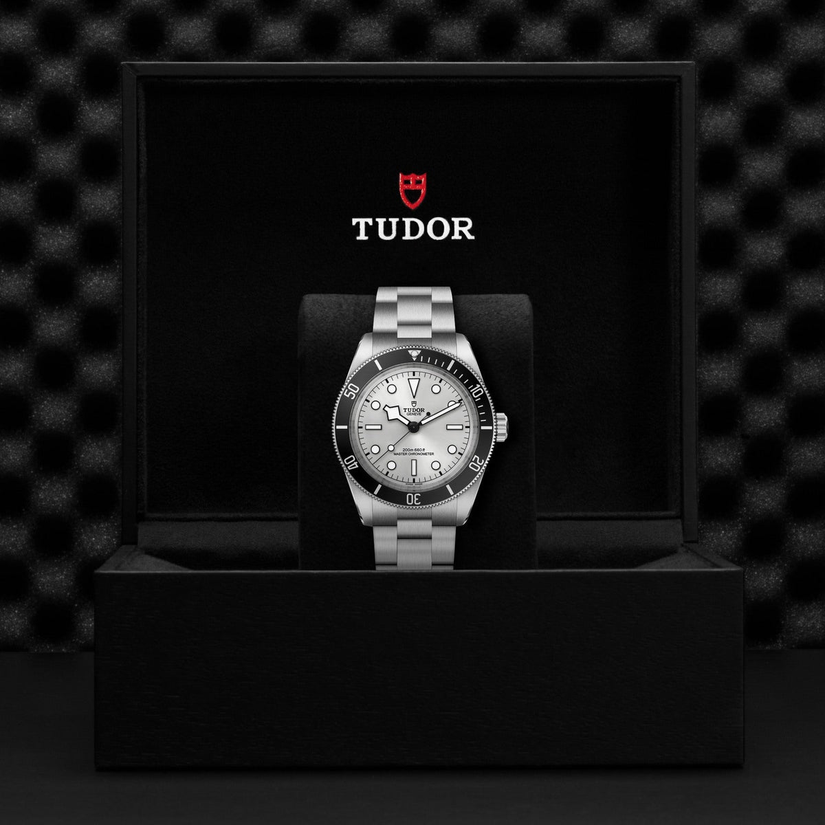Tudor Black Bay 68 — photo 5 of 5