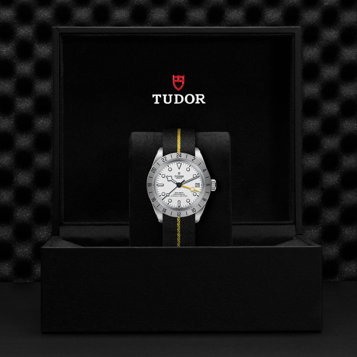 Tudor Black Bay Pro — photo 5 of 5