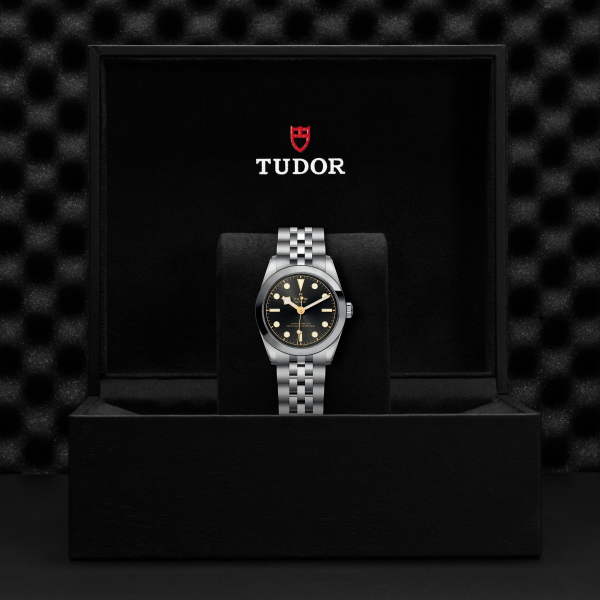 Tudor Black Bay 31 — photo 5 of 5