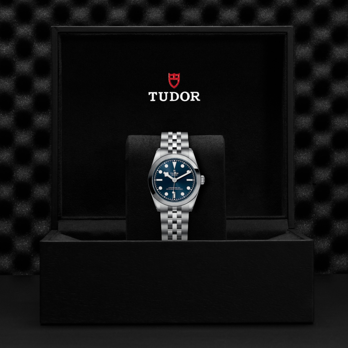 Tudor Black Bay 31 — photo 5 of 5