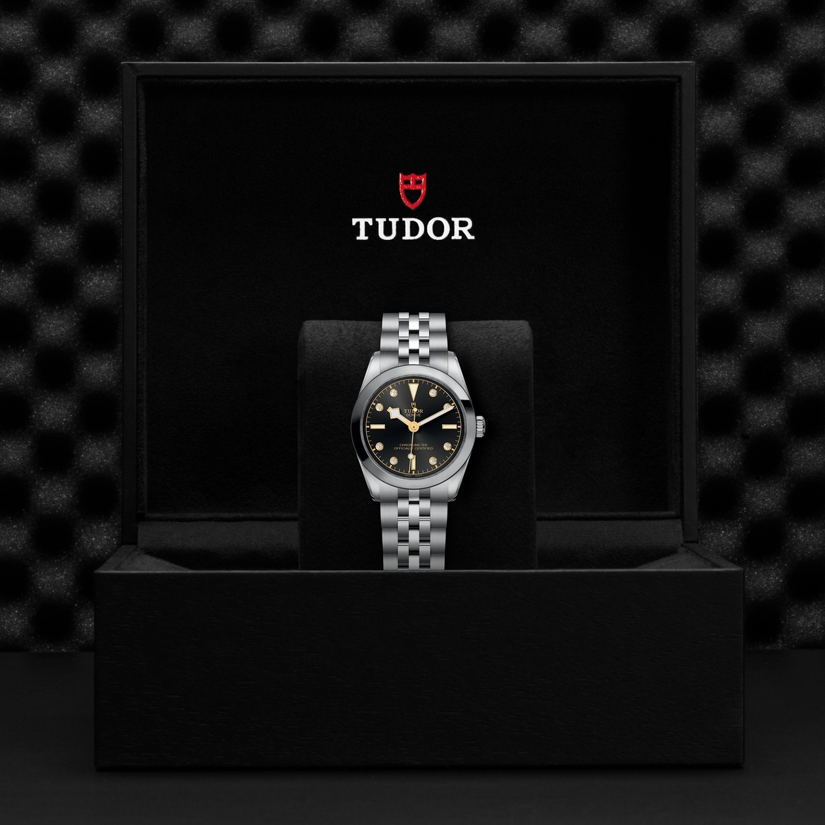 Tudor Black Bay 31 — photo 5 of 5