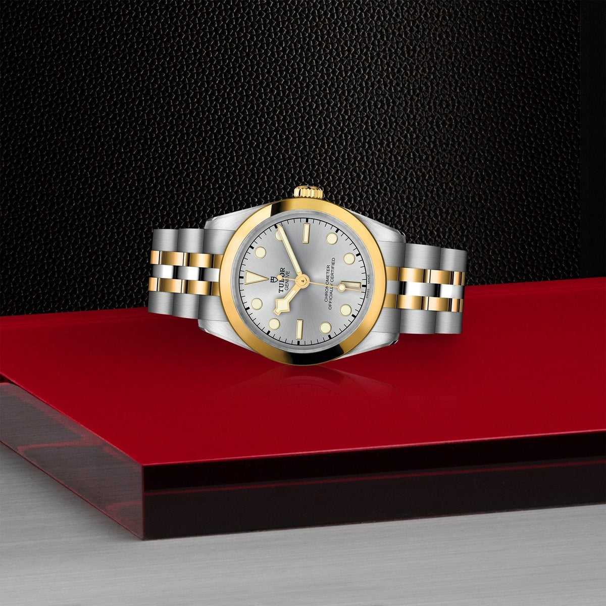 Tudor Black Bay 31 S&G — photo 4 of 5
