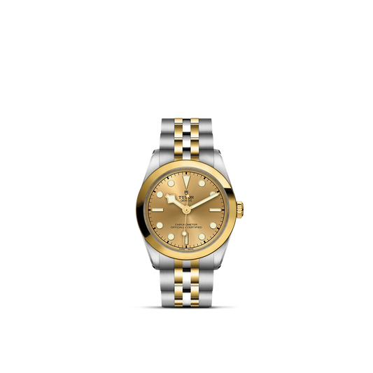Tudor Black Bay 31 S&G — photo 1 of 5