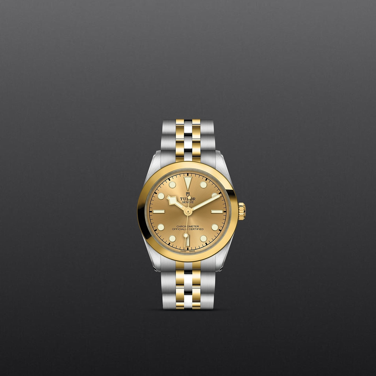 Tudor Black Bay 31 S&G — photo 2 of 5