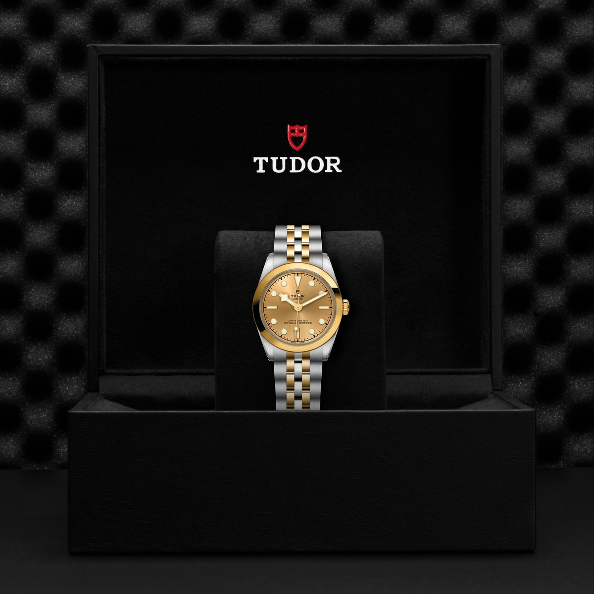 Tudor Black Bay 31 S&G — photo 5 of 5
