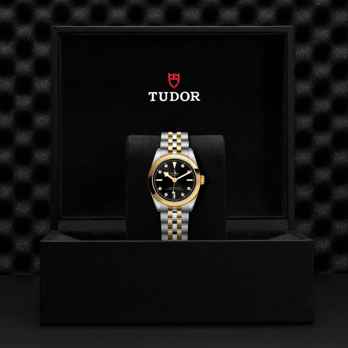 Tudor Black Bay 31 S&G — photo 5 of 5