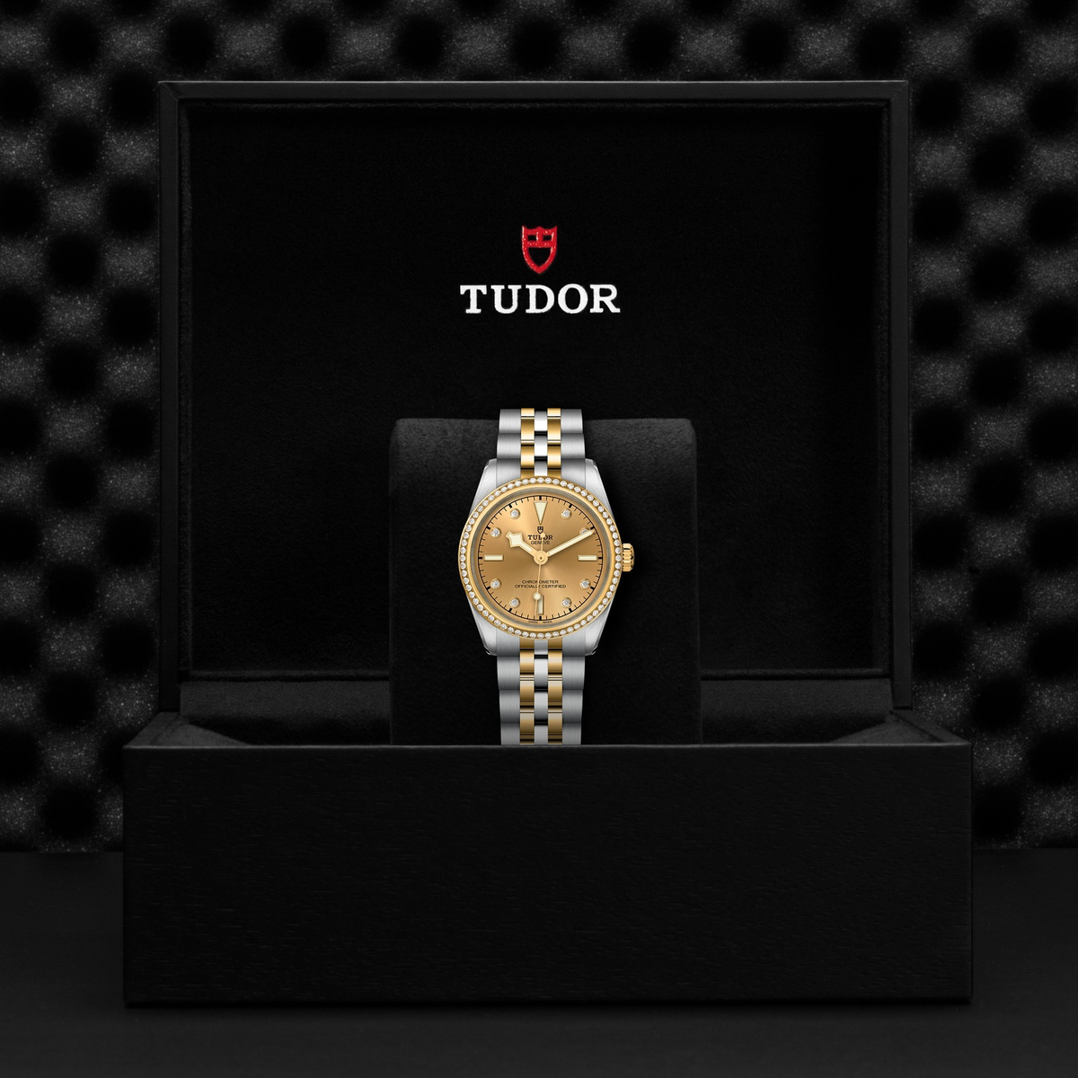 Tudor Black Bay 31 S&G — photo 5 of 5