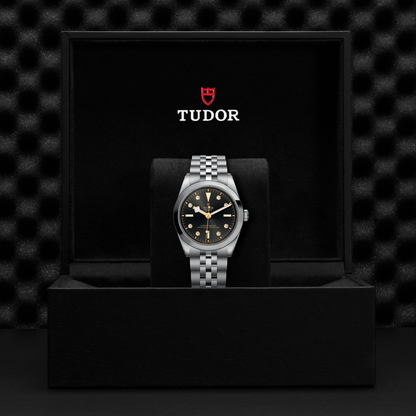 Tudor Black Bay 36 — photo 5 of 5