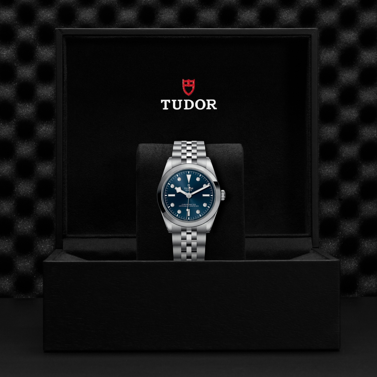 Tudor Black Bay 36 — photo 5 of 5