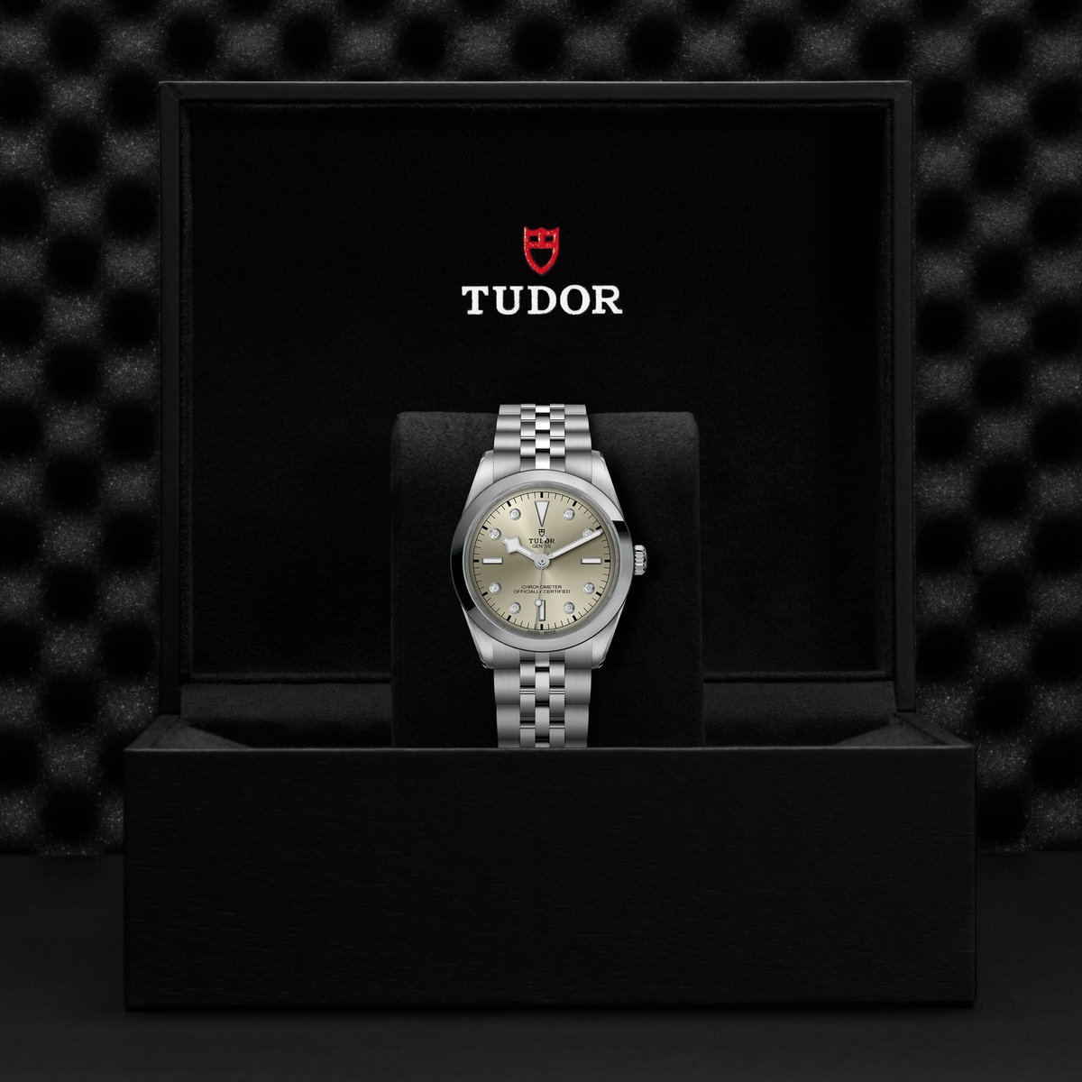 Tudor Black Bay 36 — photo 5 of 5