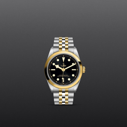 Tudor Black Bay 36 S&G — photo 2 of 5